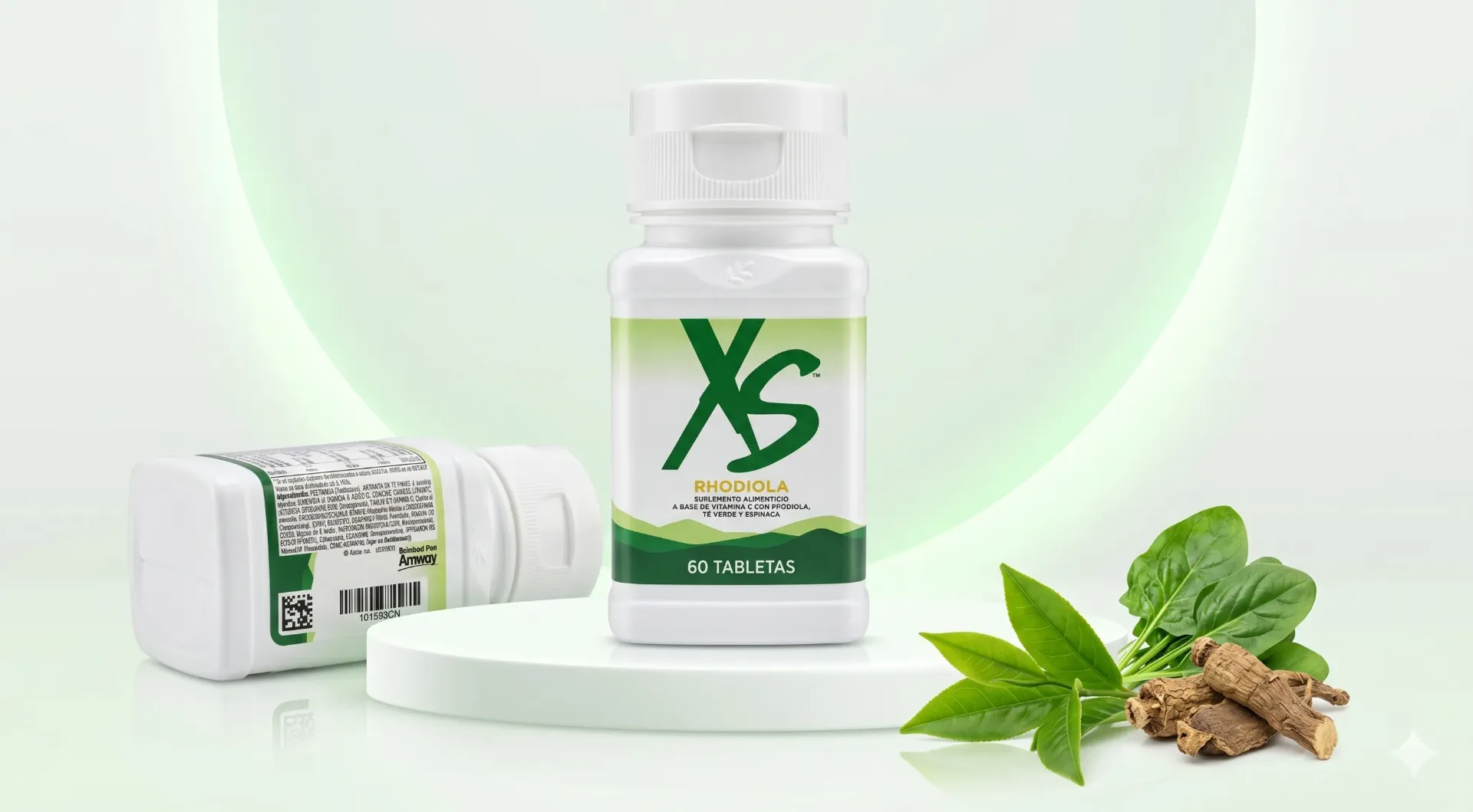 XS Rhodiola