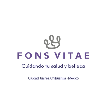 Fons Vitae